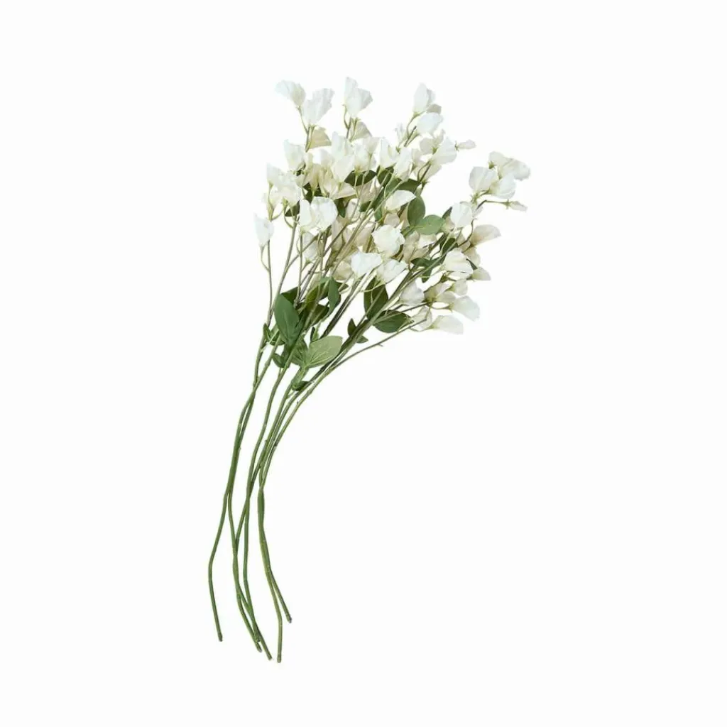 LOBERON Blume 6er Set Clavigny Clearance