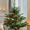 LOBERON Deko-Baum Mantilly Online