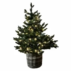 LOBERON Deko-Baum Mantilly Online