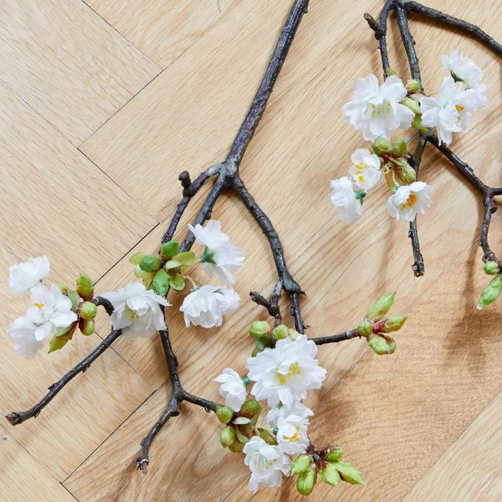 LOBERON Dekoblume 2er Set Gráda Online