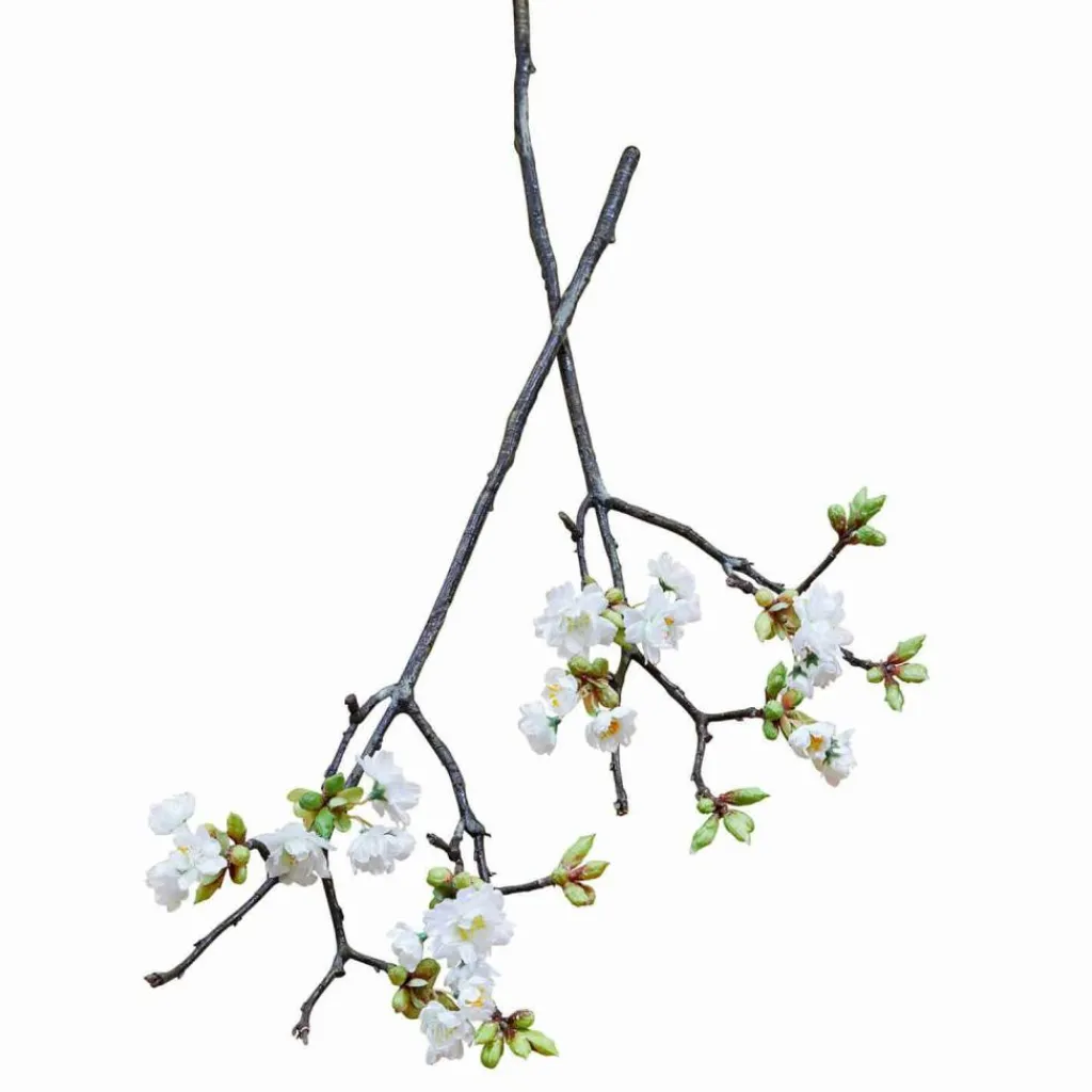 LOBERON Dekoblume 2er Set Gráda Online