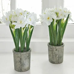 LOBERON Deko-Blume 2er Set Soralen Discount