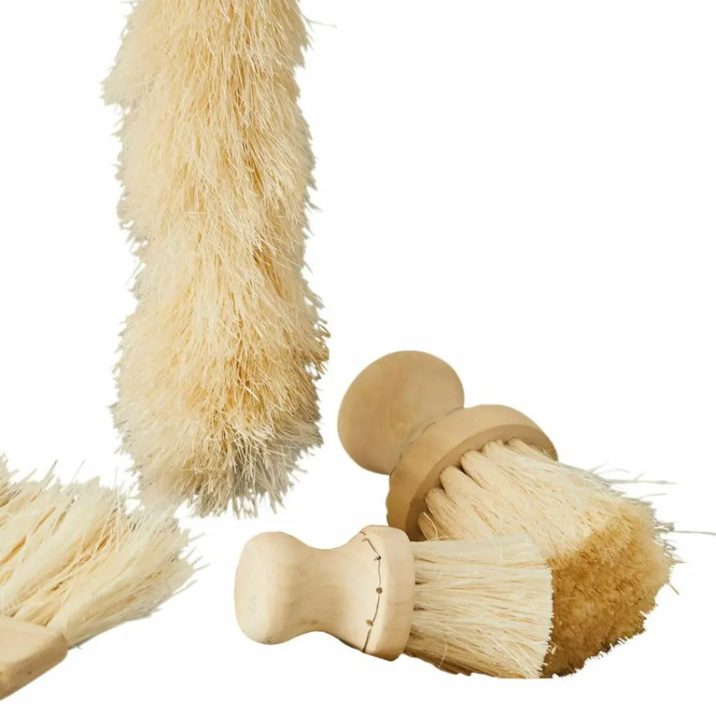 LOBERON Deko-Bürsten 4er Set Jalexor Discount