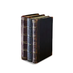 LOBERON Deko-Buch Boaz braun Best