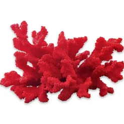 LOBERON Deko-Koralle Reddish