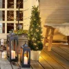 LOBERON Deko-Topfpflanze Arras Outlet