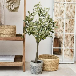 LOBERON Deko-Topfpflanze Mariuccia Discount