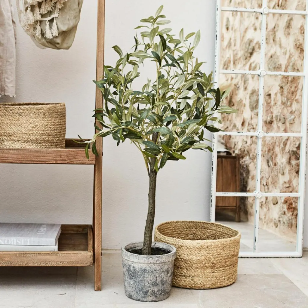 LOBERON Deko-Topfpflanze Mariuccia Discount