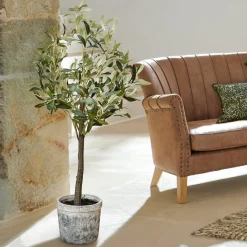 LOBERON Deko-Topfpflanze Mariuccia Discount
