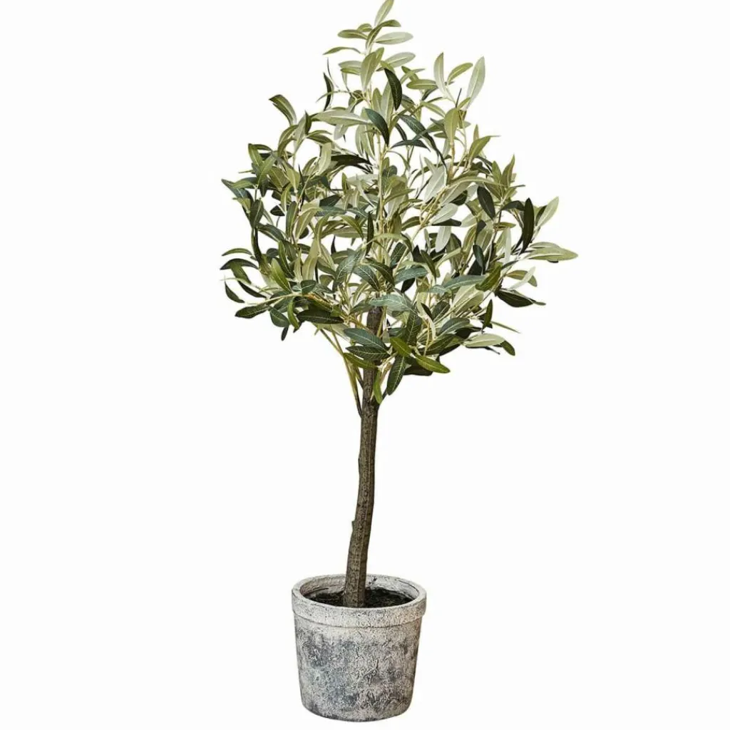 LOBERON Deko-Topfpflanze Mariuccia Discount