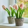 LOBERON Deko-Tulpe 2er Set Zéphine Best