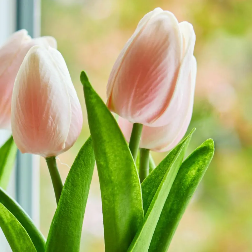 LOBERON Deko-Tulpe 2er Set Zéphine Best