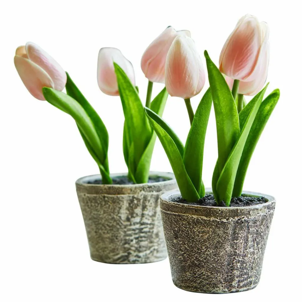 LOBERON Deko-Tulpe 2er Set Zéphine Best