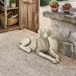 LOBERON Hund Socrate Online