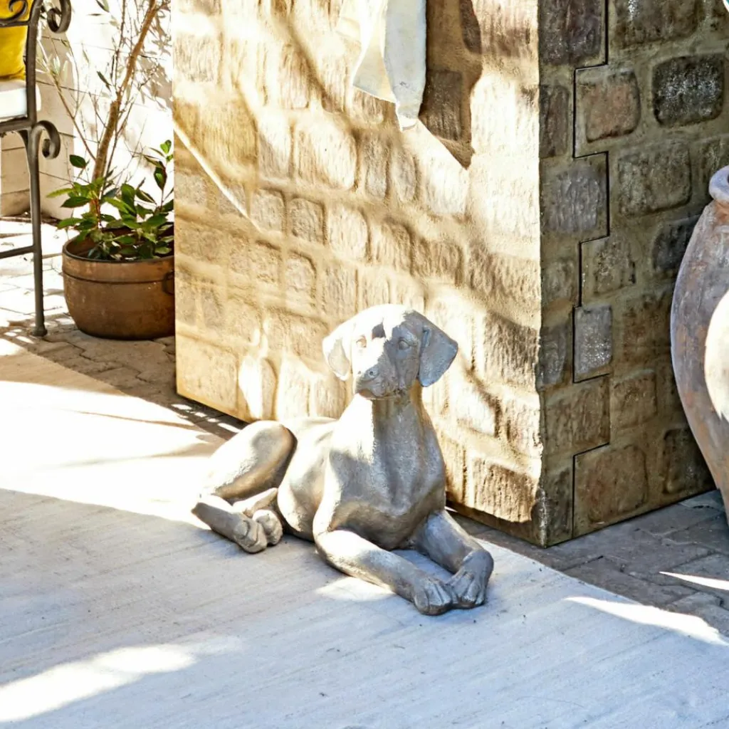 LOBERON Hund Socrate Online