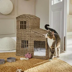 LOBERON Katzenhaus Ravnda