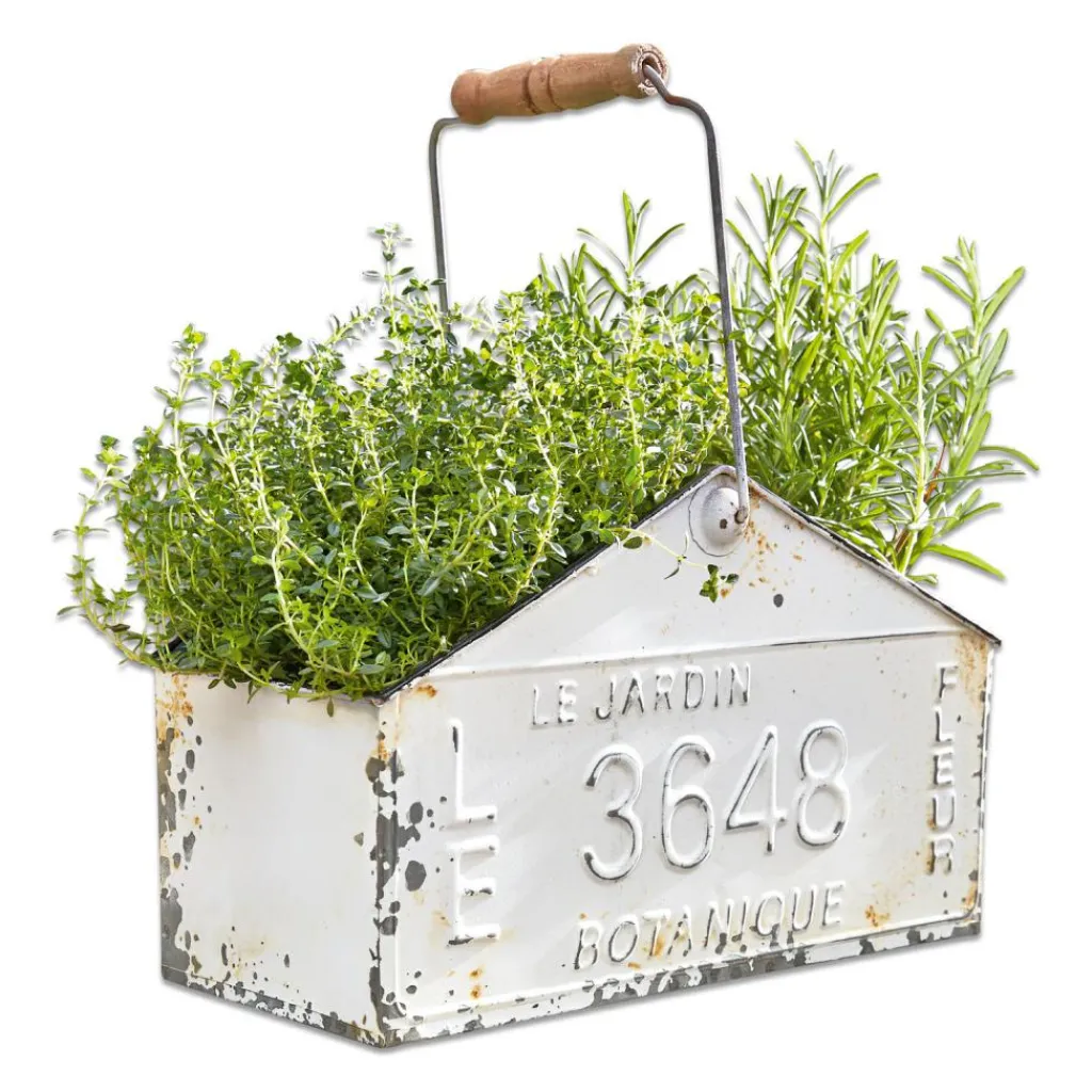 LOBERON Korb Botanique Discount