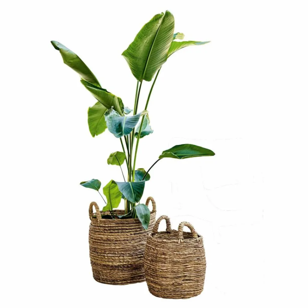 LOBERON Korb 2er Set Carlin Discount