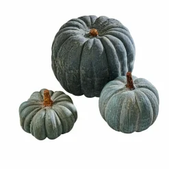 LOBERON Kürbis 3er Set Pumpkin blau Online