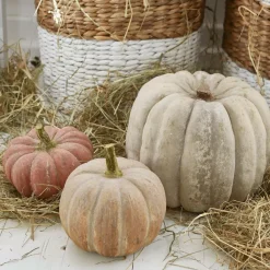 LOBERON Kürbis 3er Set Pumpkin bunt Outlet