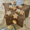 LOBERON Lichterkette Starwhisper Discount