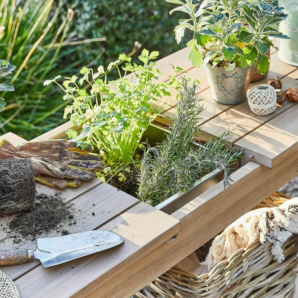 LOBERON Pflanztisch FSC®-100% Venzone Sale