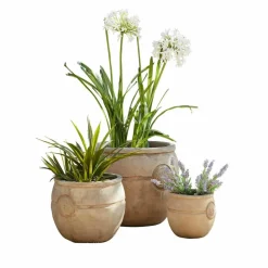 LOBERON Pflanztopf 3er Set Clorivon Clearance