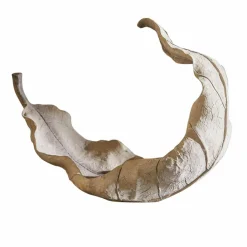 LOBERON Schale Vibius Hot