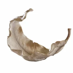 LOBERON Schale Vibius Hot