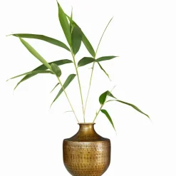 LOBERON Vase Saamira Outlet