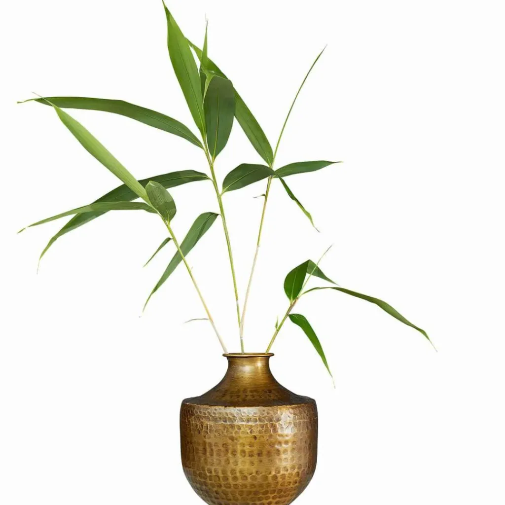 LOBERON Vase Saamira Outlet