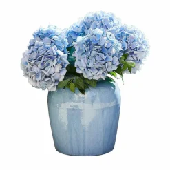 LOBERON Vase Uxemir Best