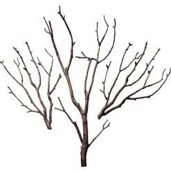 LOBERON Wand-Deko Osservante Sale