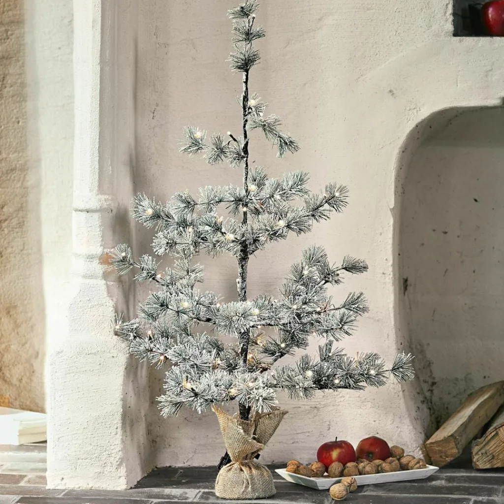 LOBERON Weihnachtsbaum Falkirk