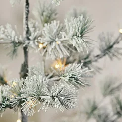 LOBERON Weihnachtsbaum Falkirk