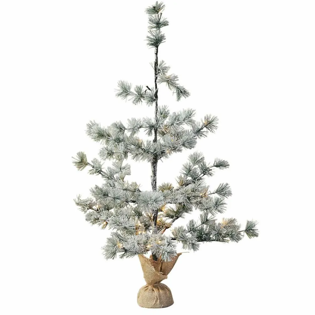 LOBERON Weihnachtsbaum Falkirk