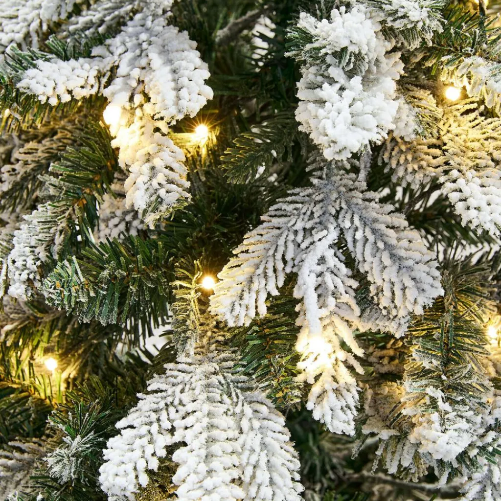 LOBERON Weihnachtsbaum Norila Clearance